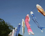 koinobori