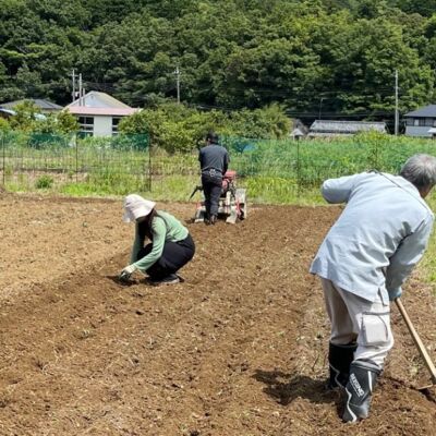未来農園（起業するなら　未来ビジネス村）の画像