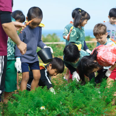 貸　未来農園の画像