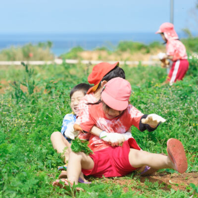 貸　未来農園の画像