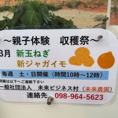 農家体験親子教室　家庭菜園の画像
