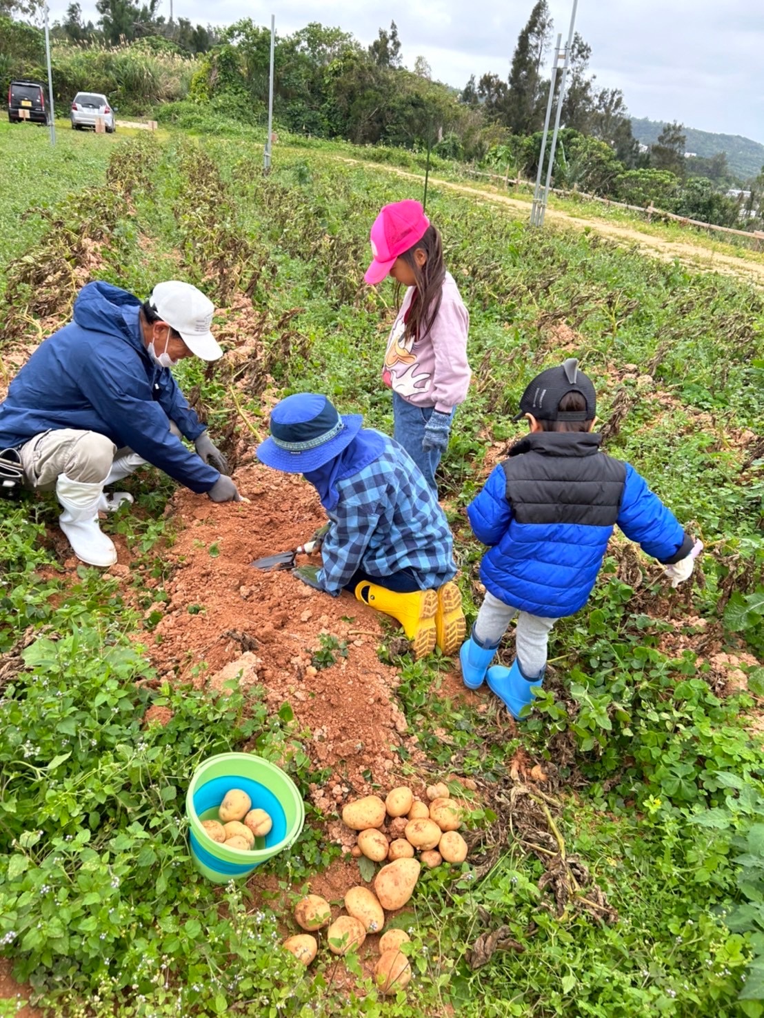 農家体験親子教室　家庭菜園
