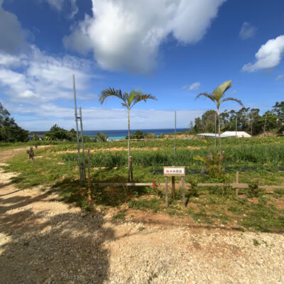 貸　未来農園の画像