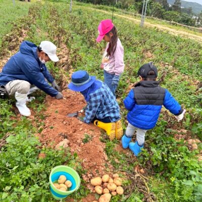 未来農園（起業するなら　未来ビジネス村）の画像