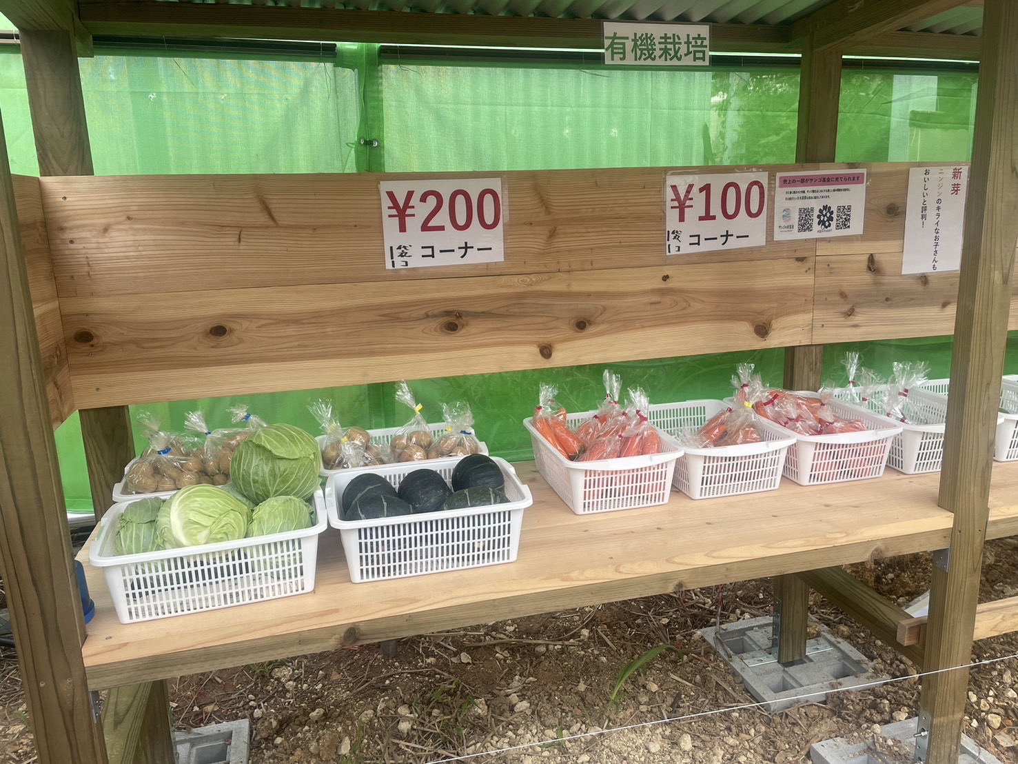 貸　野菜市場