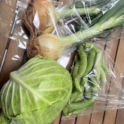 貸　野菜市場の画像