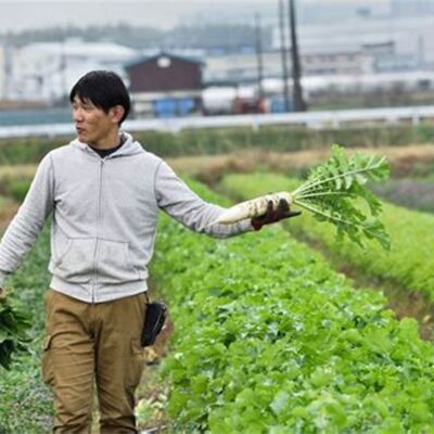 未来農園（起業するなら　未来ビジネス村）の画像