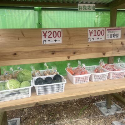 農家体験親子教室　家庭菜園の画像