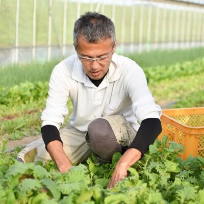 未来農園（起業するなら　未来ビジネス村）の画像